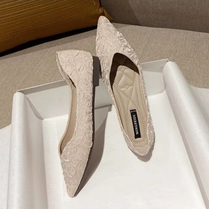 Women's Flat Shoes Pointed Toe - Women Shoes Quick Delivery ulasan dan harga