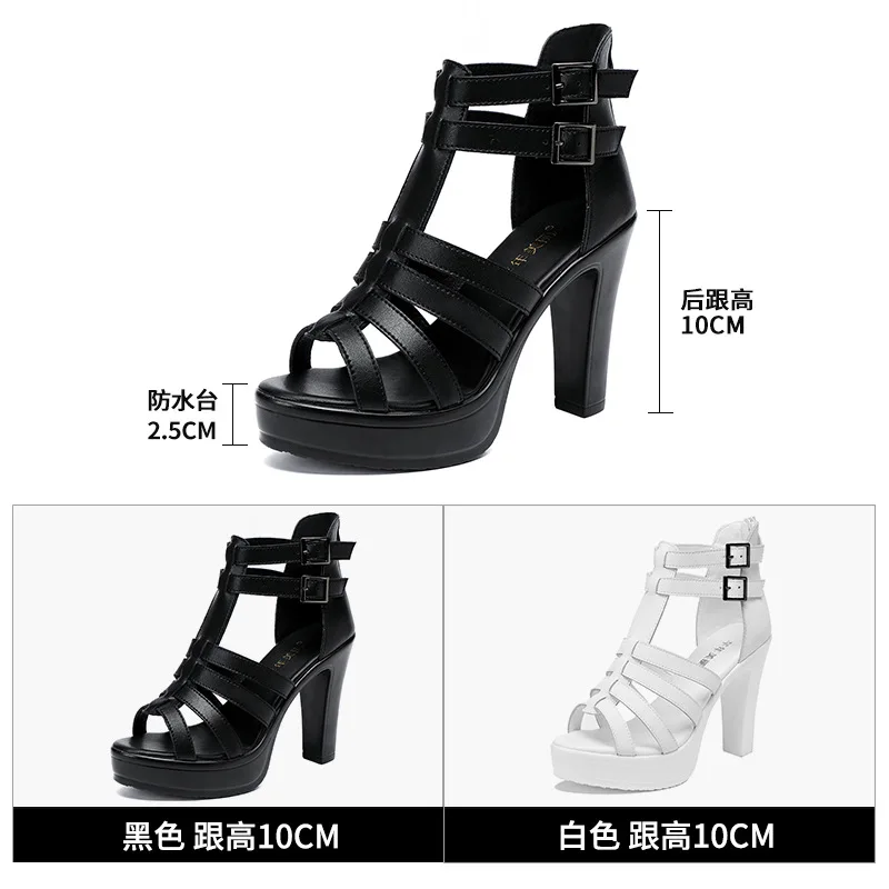 Gladiator Ladies Shoe for Wome - Women Shoes Formal ulasan dan harga